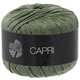 Lana Grossa CAPRI | 19-cachi