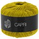 Lana Grossa CAPRI | 22-giallo senape
