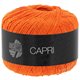 Lana Grossa CAPRI | 24-arancio