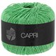Lana Grossa CAPRI | 44-mela verde