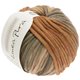 Lana Grossa CASHSILK Degradé (Linea Pura) | 108-sabbia/cammello/cannella/cachi