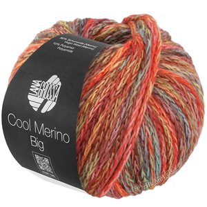 Lana Grossa COOL MERINO Big Color | 402-verde grigio/rosso/giallo/menta/marrone/palissandro