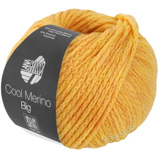 Lana Grossa COOL MERINO Big