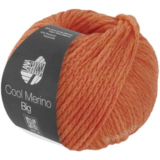 Lana Grossa COOL MERINO Big