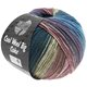 Lana Grossa COOL WOOL Big Color | 4005-blu ottanio/jeans/rosa antico/palissandro/marrone beige/cachi