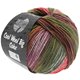Lana Grossa COOL WOOL Big Color | 4009-rosso/natura/castagno/verde reseda/marrone