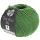 Lana Grossa COOL WOOL Big Uni/Melange | 0997-foglia verde