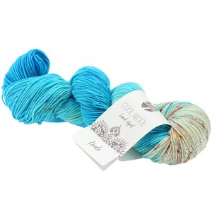 Lana Grossa COOL WOOL  Hand-dyed | 110-blu azzurro/blu chiaro/ecru/fucsia