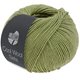 Lana Grossa COOL WOOL Seta | 22-Verde acero