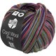 Lana Grossa COOL WOOL Print | 838-blu chiaro/verde grigio/cammello/erica/porpora blu