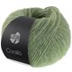 Lana Grossa CORALLO 50g | 109-verde salvia