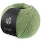 Lana Grossa CORALLO 100g | 09-verde grigio/verde salvia/verde reseda