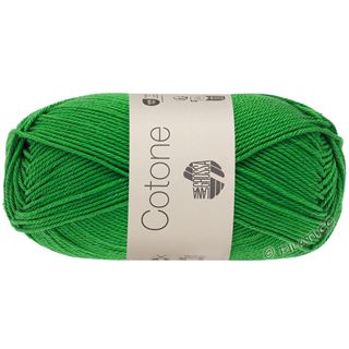 Lana Grossa COTONE