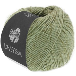 Lana Grossa DIVERSA | 10-verde grigio