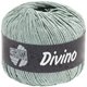 Lana Grossa DIVINO Uni | 54-verde grigio