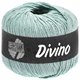 Lana Grossa DIVINO Uni | 60-verde delicata