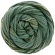 Lana Grossa ECCO | 005-oliva/verde grigio