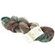 Lana Grossa ECOPUNO Hand-dyed | 505-verde muschio/beige/marrone nero/menta/grigio marrone