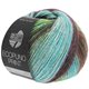 Lana Grossa ECOPUNO Print | 205-turchese  /menta/marrone scuro/verde giallo/taupe