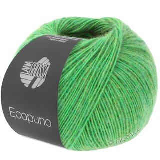 Lana Grossa ECOPUNO