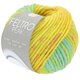 Lana Grossa FELTRO Peak | 1416-giallo/rosa vivo/verde chiaro/turchese