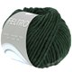 Lana Grossa FELTRO | 119-verde foresta