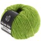 Lana Grossa GARZATO Baby | 15-pistacchio