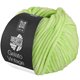 Lana Grossa GELATO Vintage | 107-verde primavera/bianco