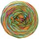 Lana Grossa GOMITOLO DENIM GRAFFITI | 352-verde/arancio/fucsia/turchese /oliva