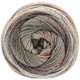 Lana Grossa GOMITOLO MAYA | 861-grigio scuro/grigio marrone/rosso vino/grigio chiaro/taupe/cammello/beige rosato/palissandro