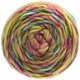 Lana Grossa GOMITOLO MERINO | 02-verde giallo/limone/giada/ciclamino/cachi/viola rosso