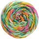 Lana Grossa GOMITOLO SELEZIONE 3 | 3005-giada/arancio/verde scuro/lampone/giallo/verde grigio/grigio chiaro
