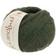 Lana Grossa LANDLUST Alpaka Merino 100 | 323-verde muschio