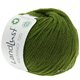 Lana Grossa LANDLUST MERINO 120 (GOTS & ICEA) | 117-verde