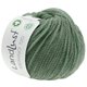Lana Grossa LANDLUST MERINO 120 (GOTS & ICEA) | 135-verde grigio