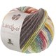 Lana Grossa LANDLUST Naturwolle Print | 105-rosso variopinto