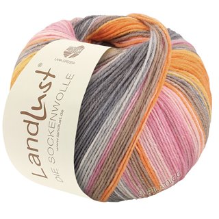 Lana Grossa LANDLUST DIE SOCKENWOLLE 150g 6-Ply
