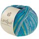Lana Grossa LANDLUST DIE SOCKENWOLLE | 612-blu turchese/grigio chiaro/blu/blu chiaro/verde delicata/Giglio rosa