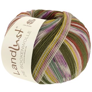 Lana Grossa LANDLUST DIE SOCKENWOLLE