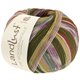 Lana Grossa LANDLUST DIE SOCKENWOLLE | 716-