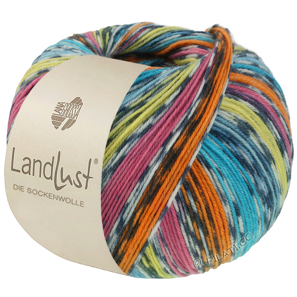 LANDLUST DIE SOCKENWOLLE di Lana Grossa