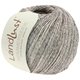 Lana Grossa LANDLUST SOMMERSEIDE Mélange | 104-grigio/marrone/beige