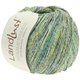 Lana Grossa LANDLUST SOMMERSEIDE Mélange | 105-turchese verde puntinato