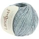Lana Grossa LANDLUST SOMMERSEIDE Mélange | 106-menta/jeans/grigio