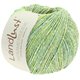 Lana Grossa LANDLUST SOMMERSEIDE Mélange | 113-giallo verde puntinato