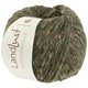 Lana Grossa LANDLUST WINTERWOLLE Tweed | 103-verde muschio puntinato