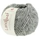 Lana Grossa LANDLUST WINTERWOLLE Tweed | 104-verde grigio puntinato