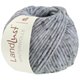 Lana Grossa LANDLUST WINTERWOLLE Tweed | 105-blu chiaro puntinato