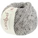 Lana Grossa LANDLUST WINTERWOLLE Tweed | 106-grigio chiaro puntinato