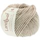 Lana Grossa LANDLUST WINTERWOLLE | 24-taupe puntinato